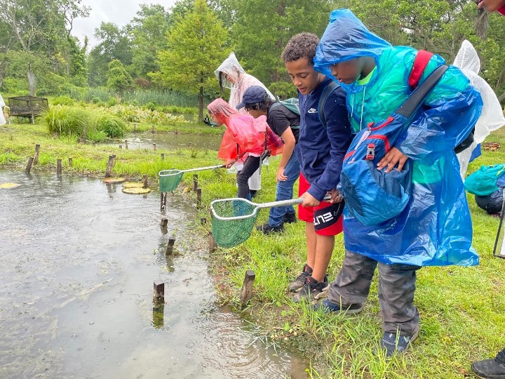 Saturday Environmental Academy Students survey the ponds at Kenilworth Aquatic Gardens.